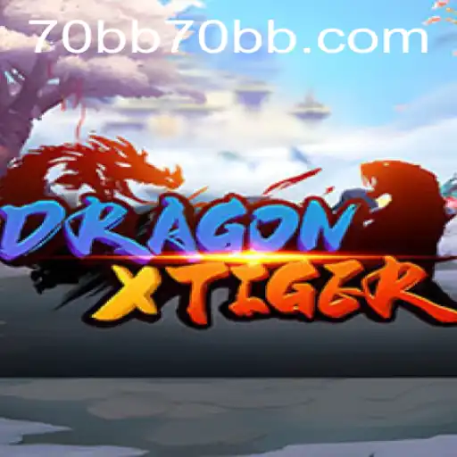 An In-Depth Look at DragonXTiger and Its Rule System